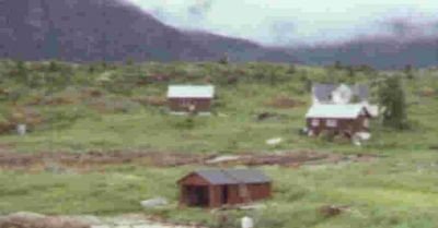 vikan 2